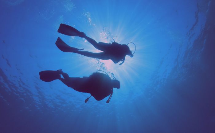 Biologisch Decoderen 4